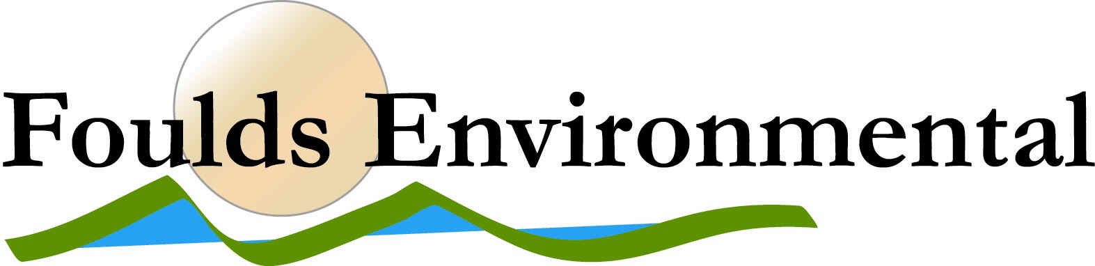 FE logo 2.JPG (139303 bytes)
